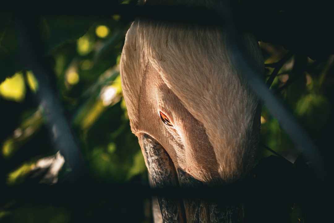 Föhn macht Haare kaputt? Die wichtigsten Mythen im Faktencheck